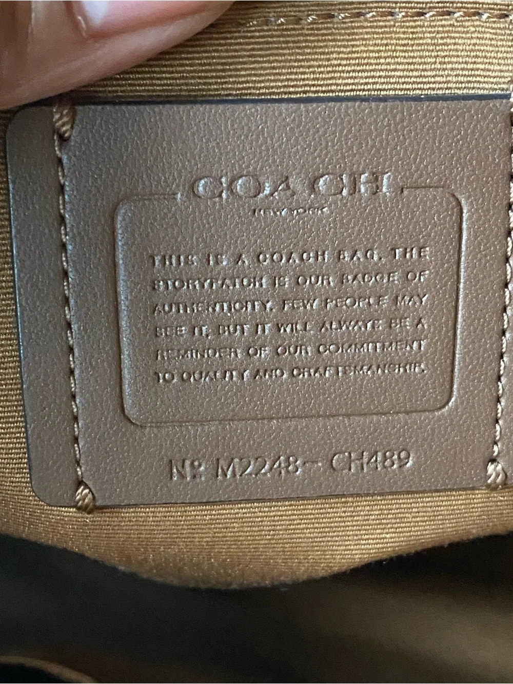 Coach Darcie Leather Carryall